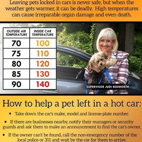 Meet your Posher, Karla Alphawolf - Picture 6 of 8